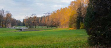 Sonbahar manzarası. Çıplak ve renkli ağaçlar, tepe tepe manzarası, bir kule, çok güzel bir arka plan. Doğal boyalar. Güzel manzara. Yatay çerçeve. Panorama.