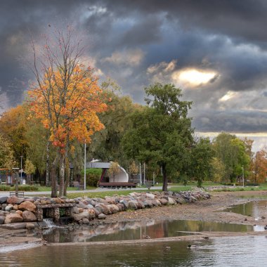 Sonbahar manzarası, patikaları ve güzel renkli ağaçları olan şehir parkı, ördekli göl seti. Hava bulutlu. Kare kare.