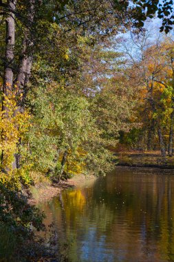 Sonbahar manzarası, nehrin üzerindeki renkli ağaçlar. Doğal boyalar. Güzel manzara. Dikey çerçeve.