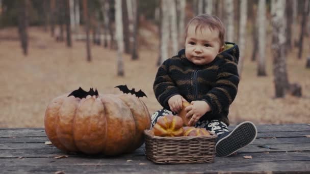 10 Měsíc staré dítě hlídat s dýní a houskou na dřevěném stole v podzimním lese. Helloween dovolená koncept. — Stock video