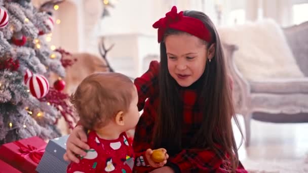 Retrato de vídeo 4k de dos niños pequeños y lindos comiendo dulces de Navidad. Bebé niño prueba dulces caseros. Hermano comiendo dulces cerca del árbol de Navidad — Vídeos de Stock
