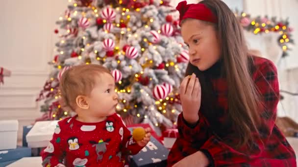 Retrato de vídeo 4k de duas crianças pequenas e fofas comendo doces de Natal. A criança sabe a doces caseiros. Irmão comendo doces perto da árvore de Natal — Vídeo de Stock