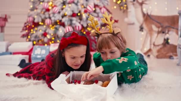 Portrait vidéo 4k de deux mignons petits enfants mangeant des bonbons de Noël. Chocolat artisanal bonbons faits à la main dans les mains des enfants. Frère manger des bonbons près de l'arbre de Noël — Video