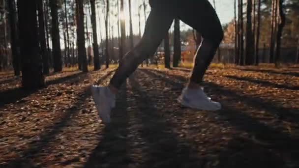 Młoda kobieta biegająca po szlaku w jesiennym lesie o wschodzie słońca. Zwolniony ruch 4k — Wideo stockowe