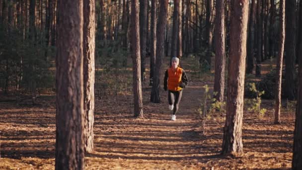 Ung kvinna joggar på stig i höstskogen vid soluppgången. Långsamma rörelser 4k — Stockvideo