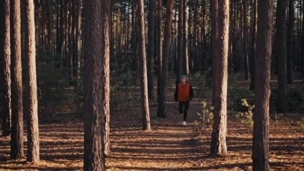 Mujer joven corriendo en el sendero en el bosque de otoño al amanecer. cámara lenta 4k — Vídeo de stock