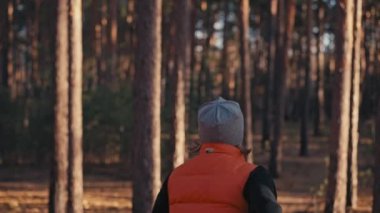 Gündoğumunda sonbahar ormanında koşan genç bir kadın. Yavaş çekim 4k