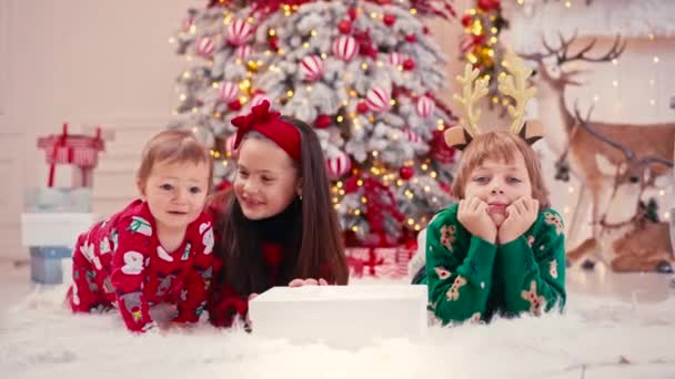 4k video portrait of two cute little children eating Christmas sweets. Craft chocolate handmade sweets in hands of kids. Brother eating sweets near christmas tree — Stock Video