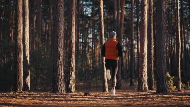 Jeune femme jogging sur le sentier dans la forêt d'automne au lever du soleil. Mouvement lent 4k — Video