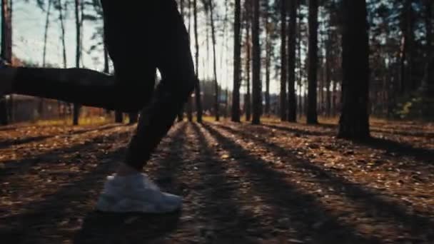 Giovane donna che corre sul sentiero nella foresta autunnale all'alba. Rallentatore 4k — Video Stock