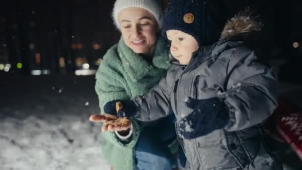 Mãe e filho brincando no festival de inverno, nevando. — Vídeo de Stock