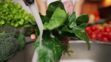 El yıkama ıspanağı. 