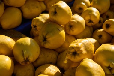 Piyasada Satılık Quinces Tam Çerçeve.