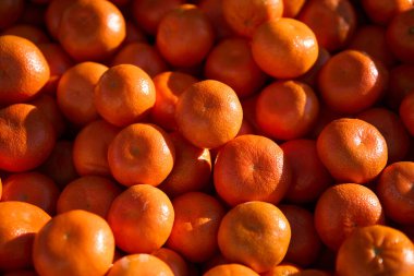 Piyasada bir sürü taze mandalina..