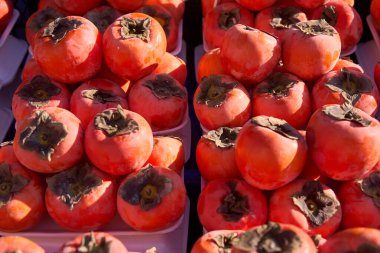 Antalya 'da Türk hurmalarını kapat