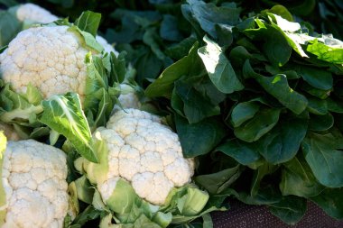 Tam Çerçeve Karnabahar ve Brokoli