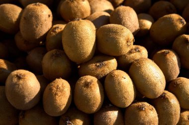 Marketteki bir kutuda müşterilere satmaya hazır kiviler..