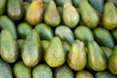 Piyasada taze avokado. Avokadolar çok besleyicidir ve çok çeşitli besinler içerirler.