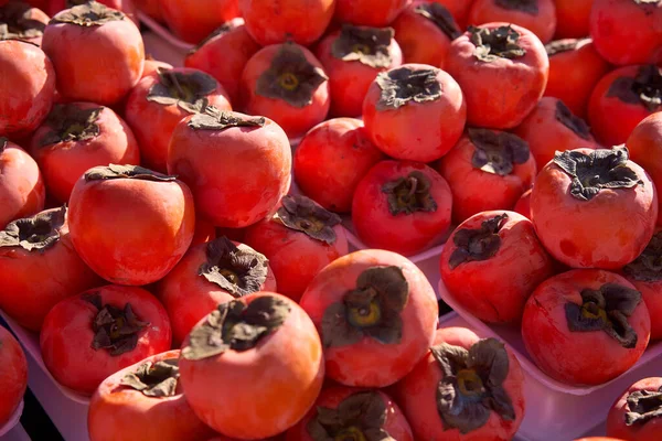 Antalya 'da Türk hurmalarını kapat