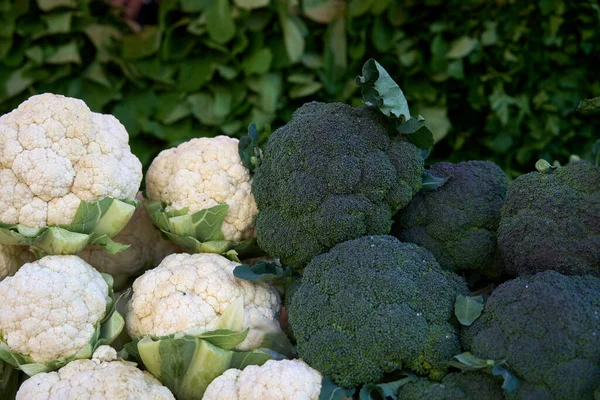 Pełne ujęcie kalafiora i brokułów — Zdjęcie stockowe