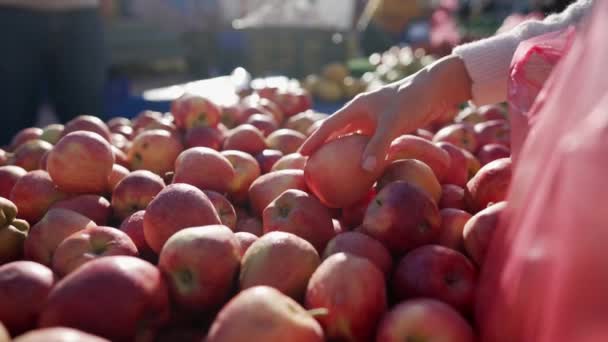 Tangan perempuan menumpuk apel dalam tas di pasar jalan close-up. — Stok Video