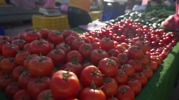 Una mujer eligiendo tomates maduros en un mercado de agricultores — Vídeos de Stock