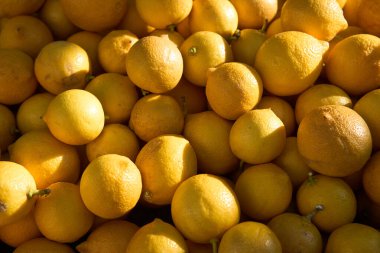 Çiftçi pazarında taze sulu limonlar..