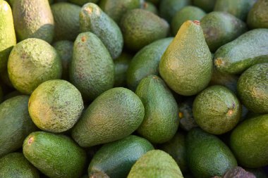 Piyasada taze avokado. Avokadolar çok besleyicidir ve çok çeşitli besinler içerirler.