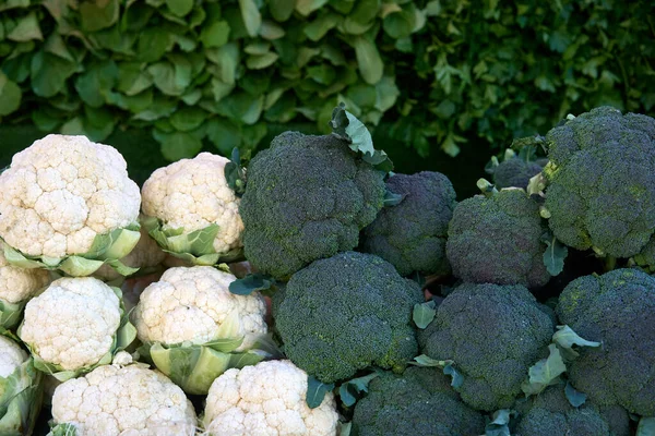 Tiro de marco completo de coliflor y brócoli —  Fotos de Stock