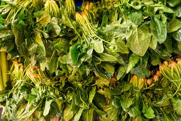 Espinacas verdes frescas para la venta en el mercado de verduras, de cerca. Cajas llenas de espinacas en la tienda. Espinacas en la tienda de comestibles. Planta beta. Hortalizas. —  Fotos de Stock