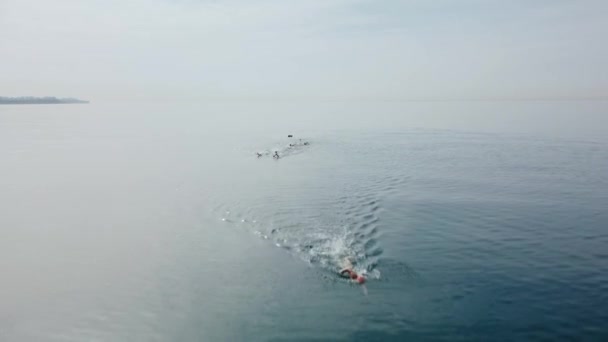 Tiro aéreo de entrenamiento de triatlón en la orilla del mar por la mañana. Un grupo de jóvenes atletas invade el agua. Empieza a nadar en el mar o en el océano — Vídeos de Stock