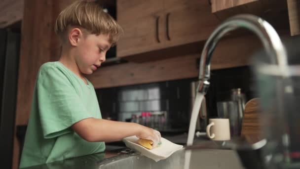 Rapaz Lavar Pratos Cozinha Bebê Louça Lavagem — Vídeo de Stock