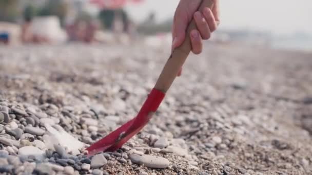 Женщина Волонтер Пытается Очистить Масло Которое Выбросило Берег Пляжное Масло — стоковое видео