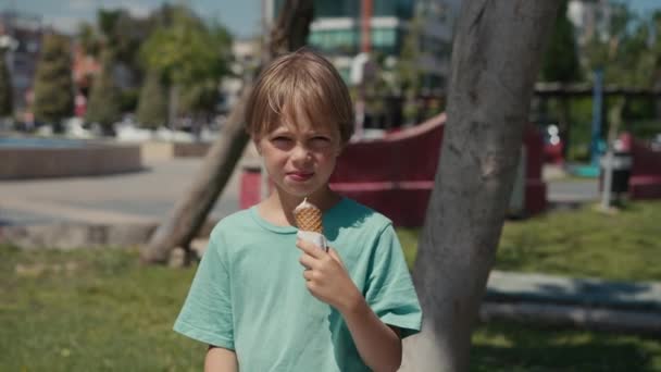 Ребенок Ест Мороженое Маленький Мальчик Ест Десерт Мороженого Высококачественные Кадры — стоковое видео