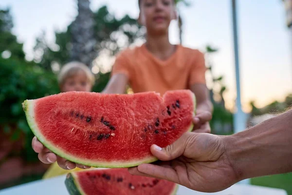 Deux Petits Enfants Des Garçons Frères Mangeant Pastèque Dans Parc — Photo