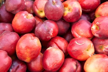 Arka plan olarak taze kırmızı elmalar. Yüksek kalite fotoğraf