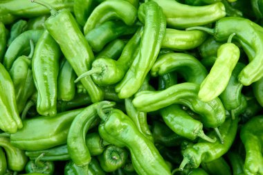 Sebze pazarında taze biber. Yüksek kalite fotoğraf