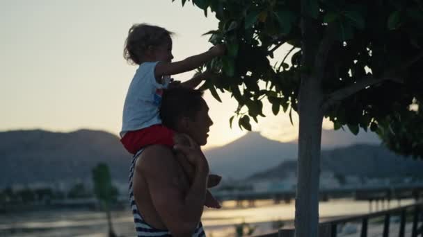 Father Son Walking City Sunset Two Year Old Kid Sitting — Vídeo de stock