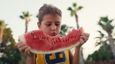 Happy childhood concept. Boy eating watermelon slices sunny summer day. High quality 4k footage