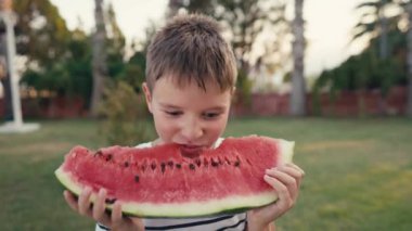 Happy childhood concept. Boy eating watermelon slices sunny summer day. High quality 4k footage