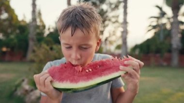 Happy childhood concept. Boy eating watermelon slices sunny summer day. High quality 4k footage