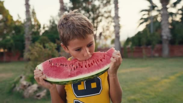 Happy Childhood Concept Boy Eating Watermelon Slices Sunny Summer Day — Stock videók