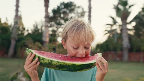 Happy Childhood Concept Boy Eating Watermelon Slices Sunny Summer Day — Vídeos de Stock