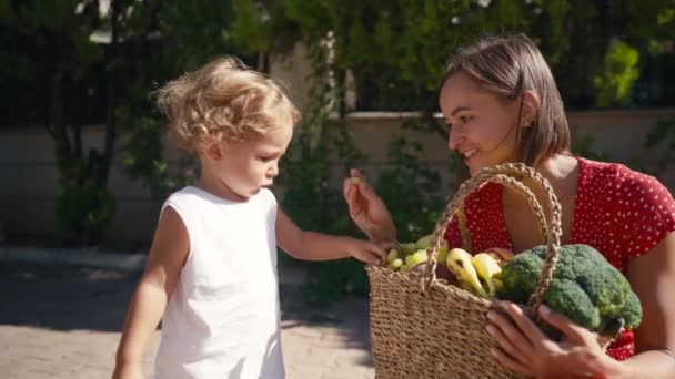 Woman Holding Basket Healthy Fresh Organic Vegetables Harvest — Stock Video