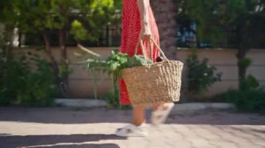 Elinde sağlıklı taze organik sebzelerle sepeti tutan bir kadın. Hasat et