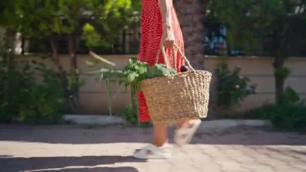 Woman Holding Basket Healthy Fresh Organic Vegetables Harvest — Stock Video