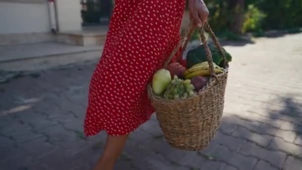 Mulher Segurando Uma Cesta Com Legumes Orgânicos Frescos Saudáveis Colheita — Vídeo de Stock