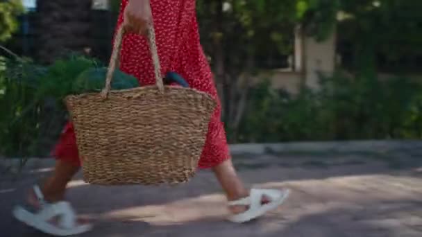 Woman Holding Basket Healthy Fresh Organic Vegetables Harvest — Stock Video