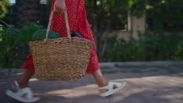 Femme Tenant Panier Avec Des Légumes Biologiques Frais Sains Récolte — Video