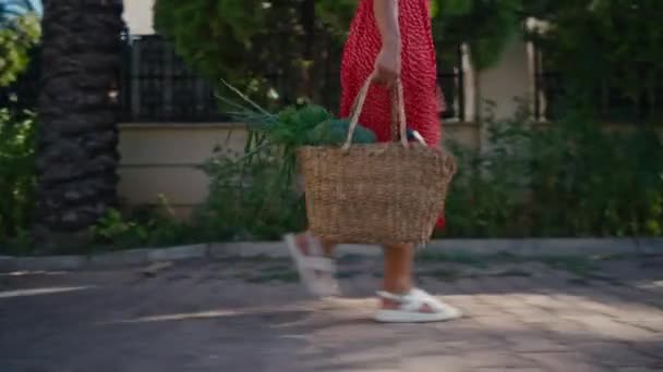 Woman Holding Basket Healthy Fresh Organic Vegetables Harvest — Stock Video